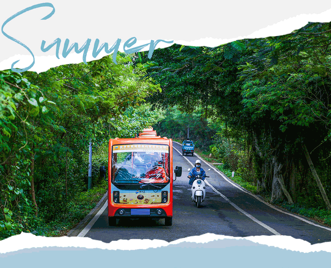 大比拼！这些个性十足的观光车，你乘坐过几个？