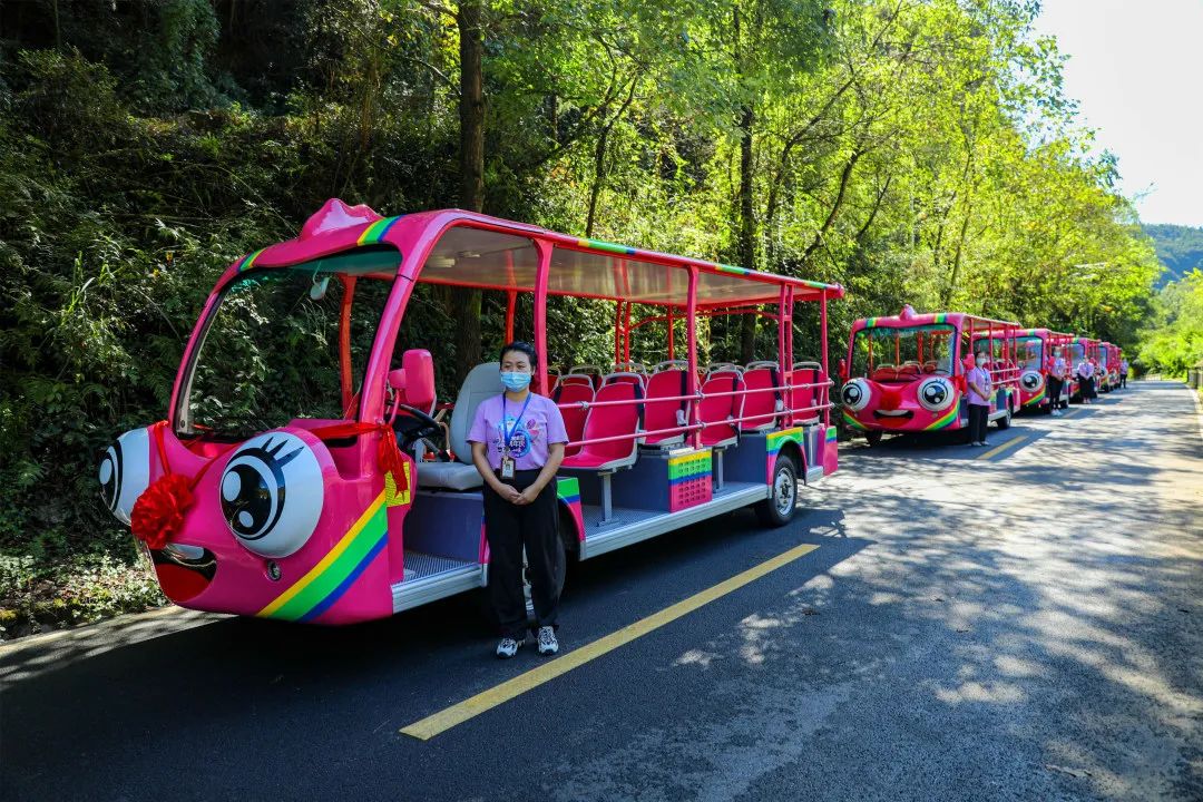 你能想象驾驶景区观光车有多“简单”？！