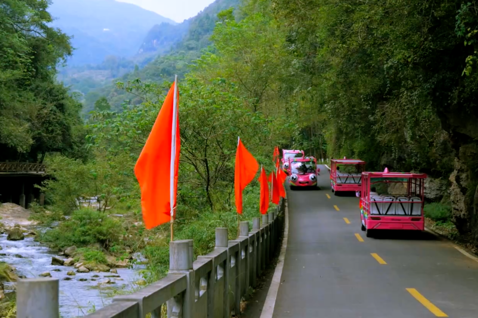 你能想象驾驶景区观光车有多“简单”？！