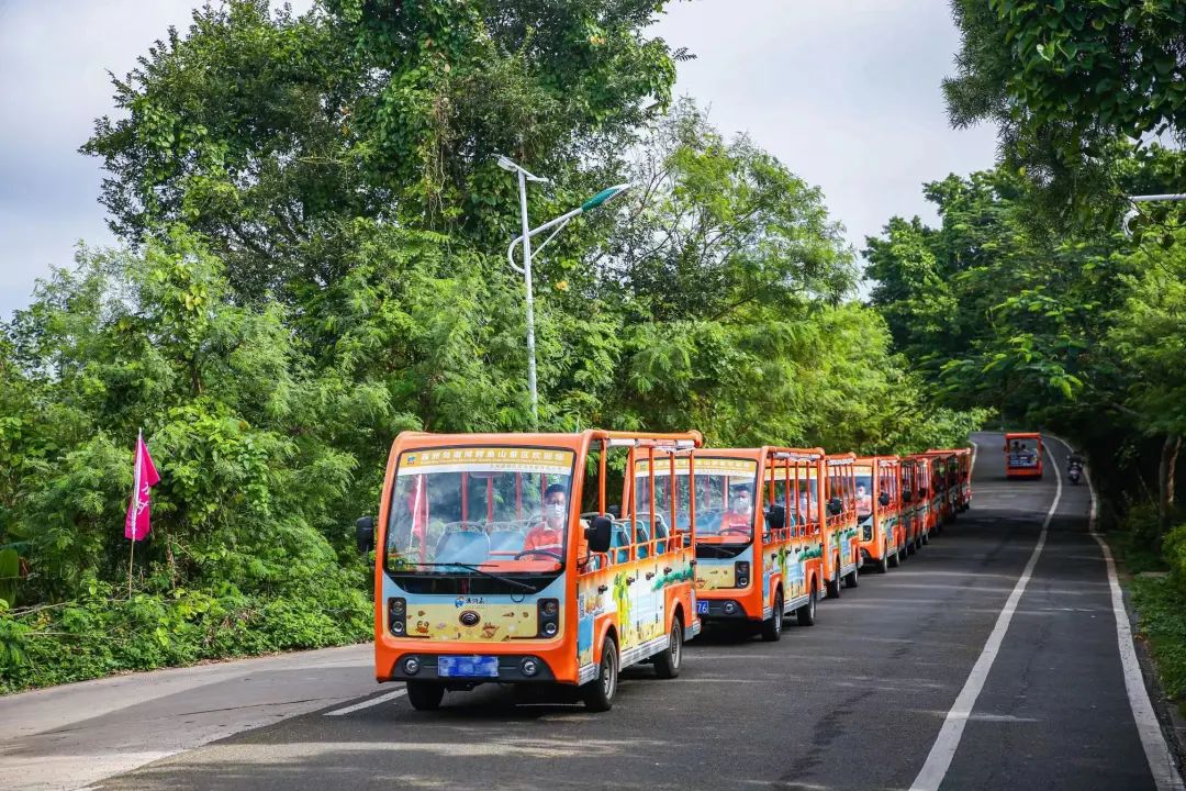 你能想象驾驶景区观光车有多“简单”？！