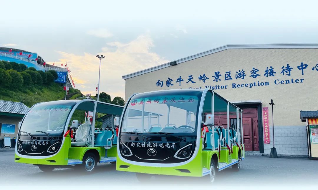 在工位上看春天，是宇宙级的浪漫