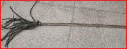 壹定发森林消防救援“天团”来袭，实力守护“绿色长城”