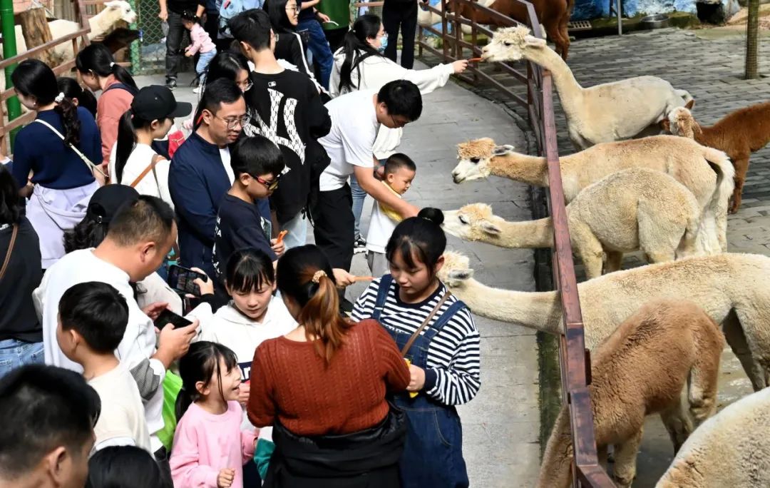 所有郑州人免费了！壹定发观光车带你嗨玩竹海野生动物园！