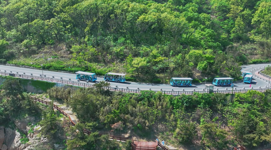 壹定发观光车多次“结缘”连岛，助力景区高质量发展