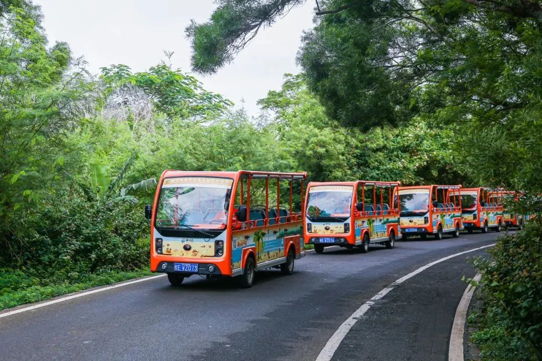 2024年“五一”假期旅游数据出炉，旅游市场呈现新趋势！
